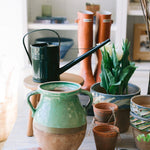 Green Cottage Crafted 2-Handle Jug - Foundation Goods