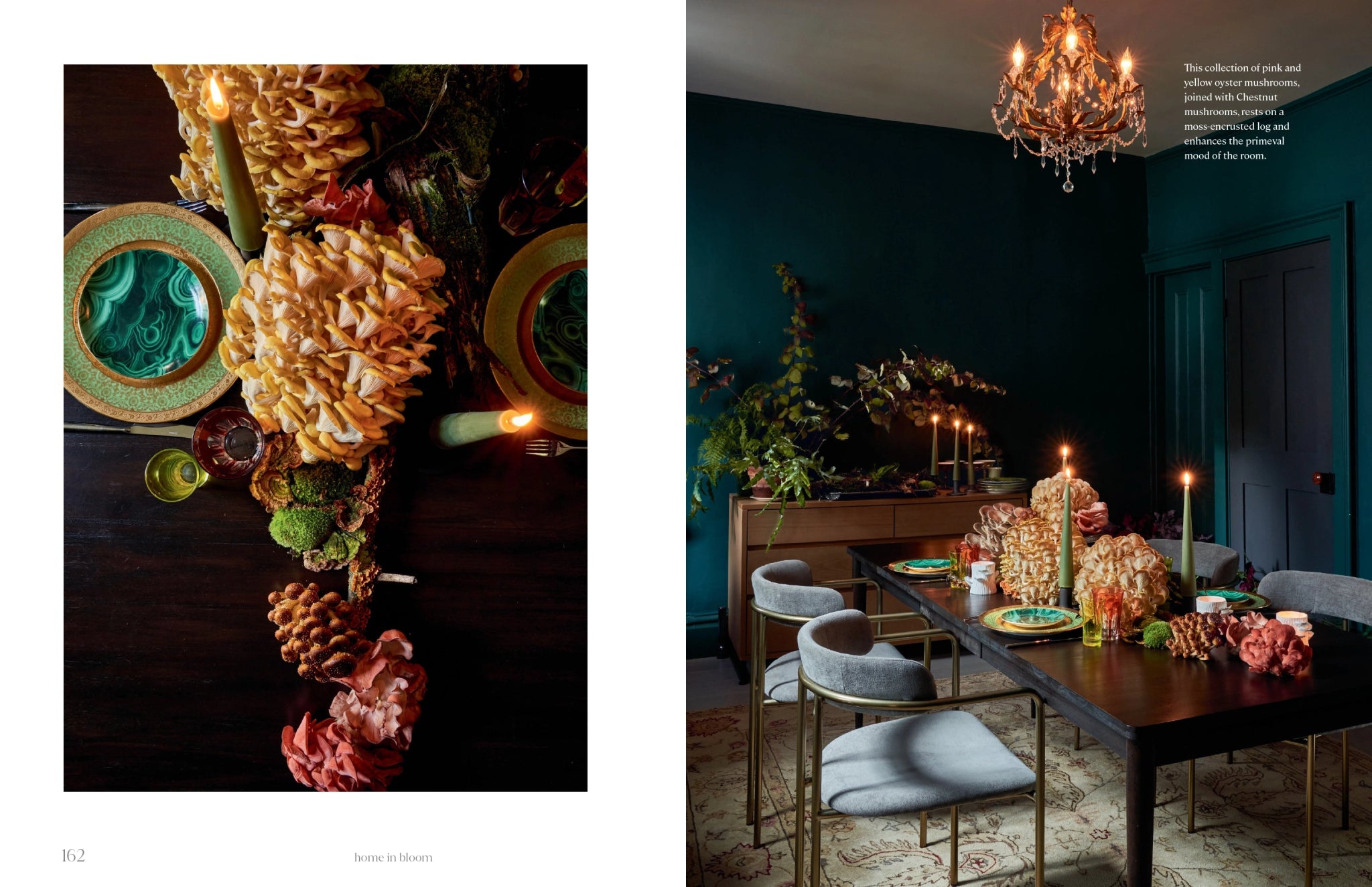 Home in Bloom by Ariella Chezar - Foundation Goods