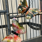 Busath Butterflies