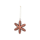 Coral Christams Star