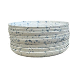 Camilia Splatter Plates