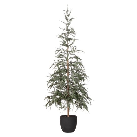 Dusty Green Tree with Black Pot - Foundation Goods