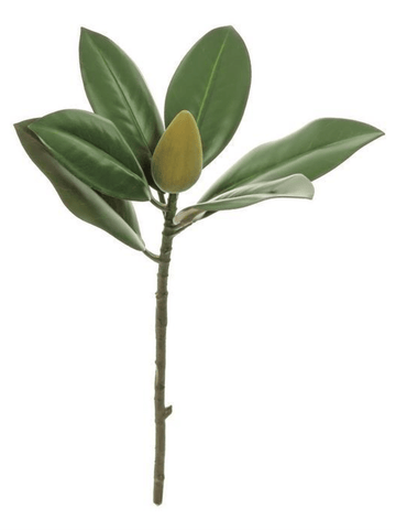 Magnolia Leaf Pick - Foundation Goods