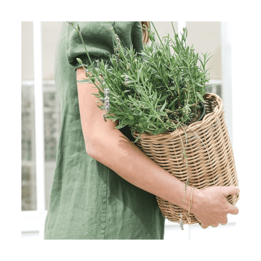 Natural Wicker Basket - Foundation Goods