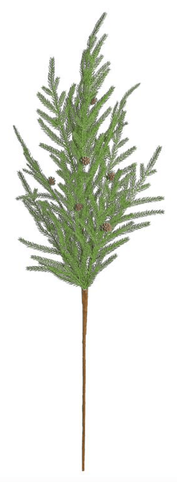 Norfolk Pine and Mini Cone Spray - Foundation Goods