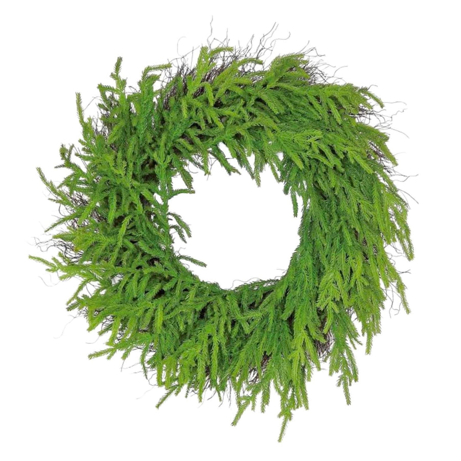 Norfolk Pine Wreath - Foundation Goods